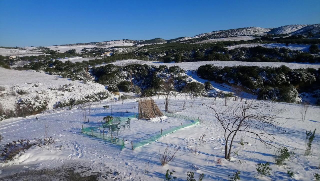 Daniil'S Luxury Villa And Spa Agios Antonios  Екстериор снимка