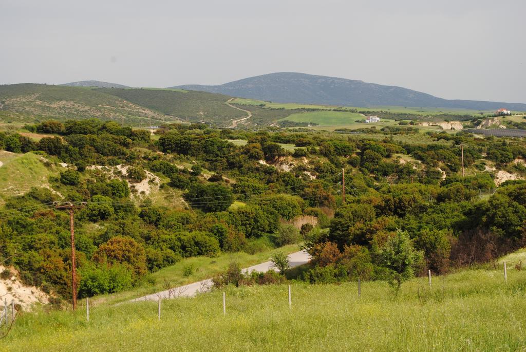 Daniil'S Luxury Villa And Spa Agios Antonios  Екстериор снимка
